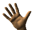 th_handanim.gif